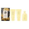 Oribe Hair Alchemy Resilience Shampoo(Heatless Styling Set)